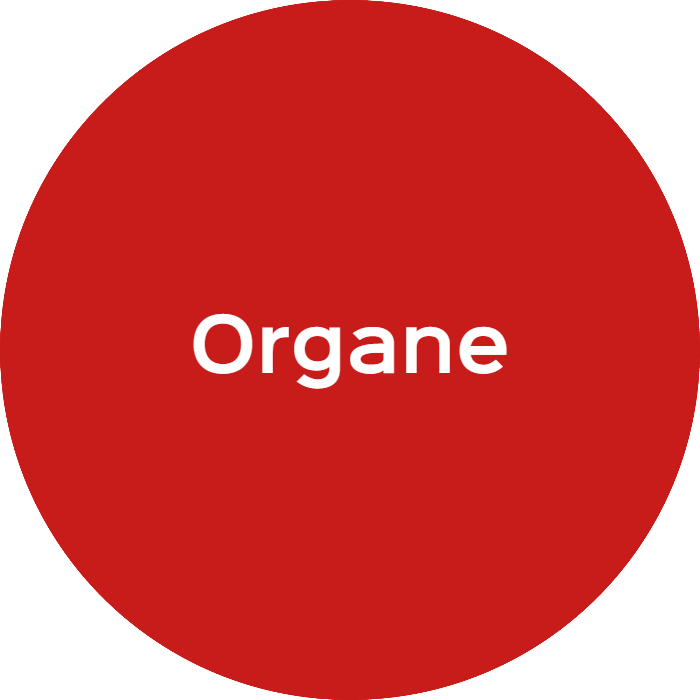 Logo Organe
